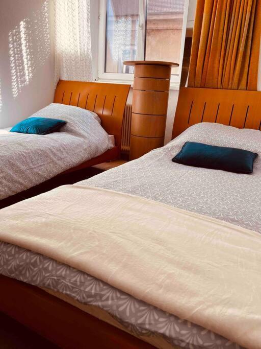 Graz City Centr Apartment المظهر الخارجي الصورة